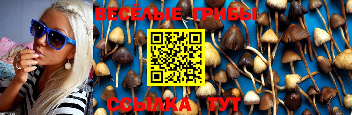 Галлюциногенные грибы Cubensis Красноярск