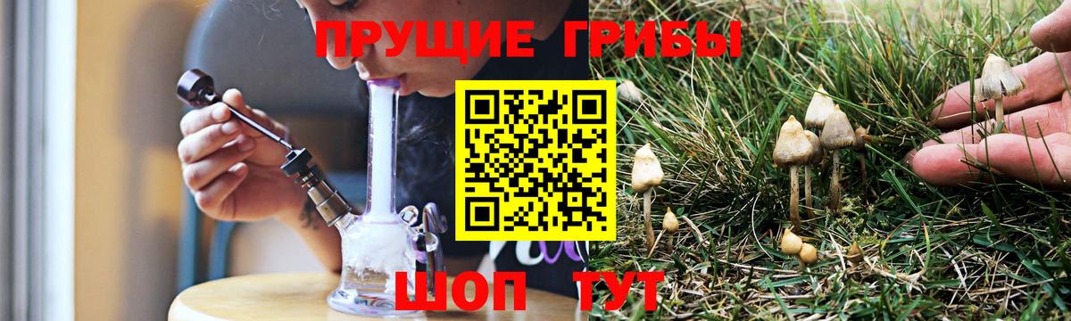 Красноярск  как найти наркотики  Вход с VPN  Псилоцибиновые грибы прущие грибы 