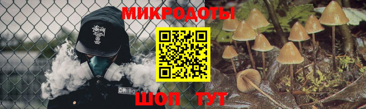 Псилоцибиновые грибы Красноярск