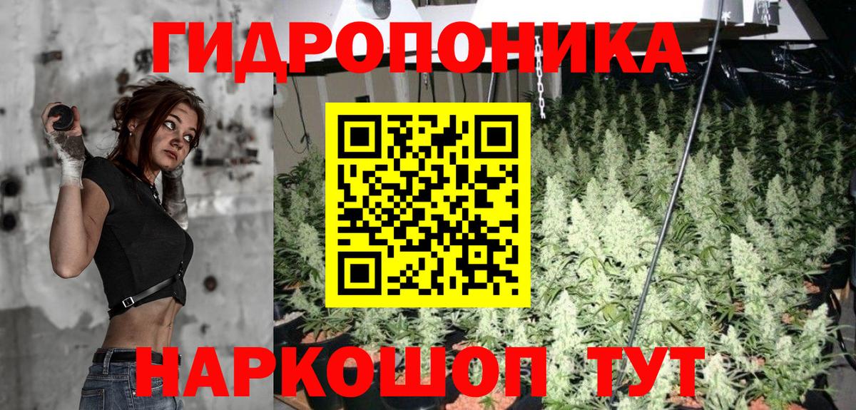 Бошки Шишки конопля Красноярск